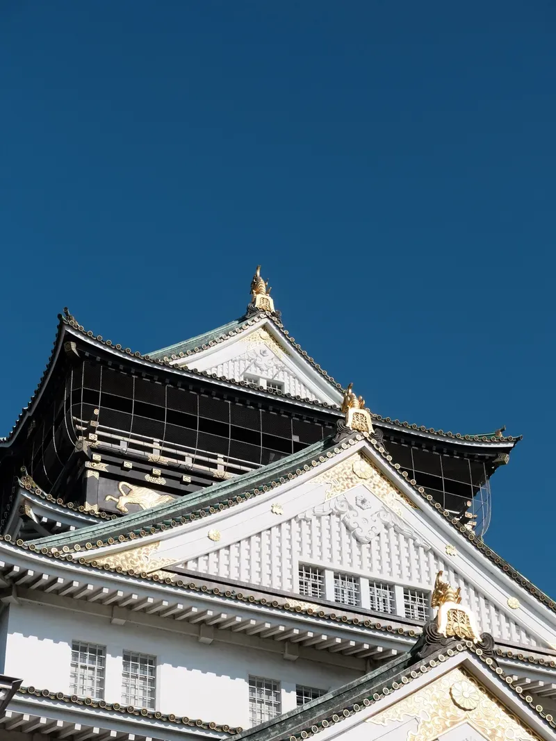Osaka Castle view 1