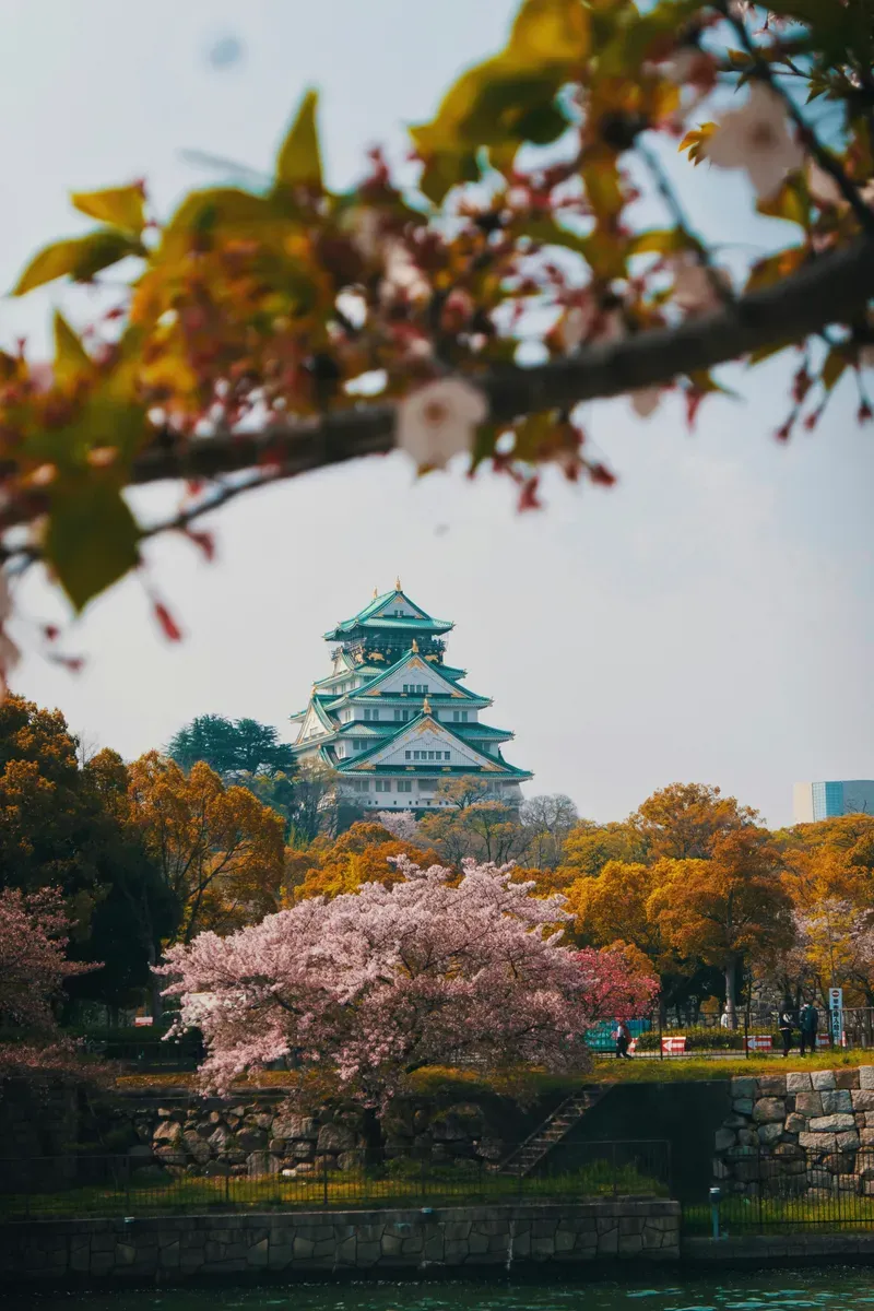 Osaka Castle view 3